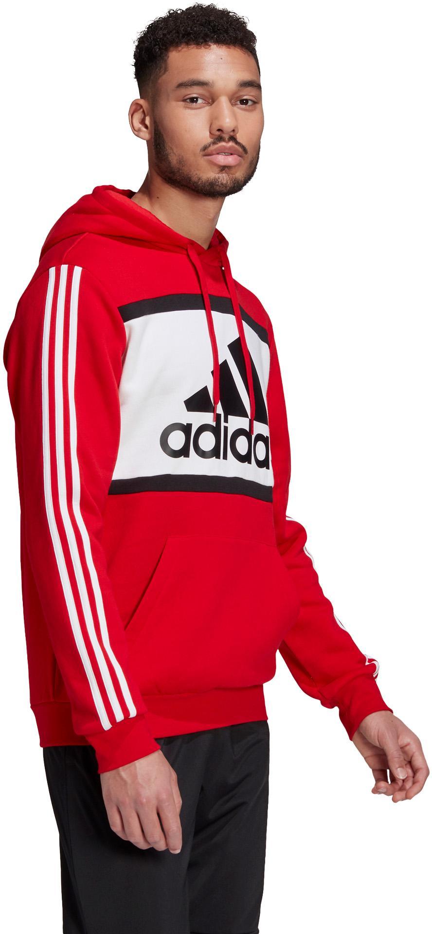 Essentials Logo Colorblock Hoodie