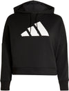 Sportswear Future Icons hoodie (Grote Maat)