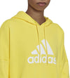 Future Icons Badge of Sport hoodie