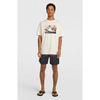 Logo Stripe 16 Zwemshort