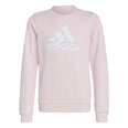 Essentials Big Logo Cotton sweater
