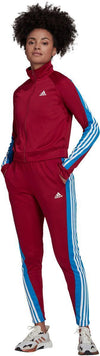 Sportswear Teamsport Trainingspak