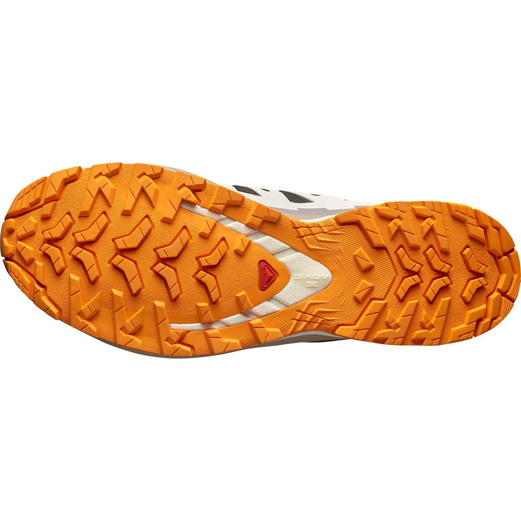 xa pro 3d v9 gore-tex