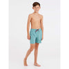 Culture Beachshort