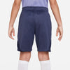 Tottenham Strike trainingsshort