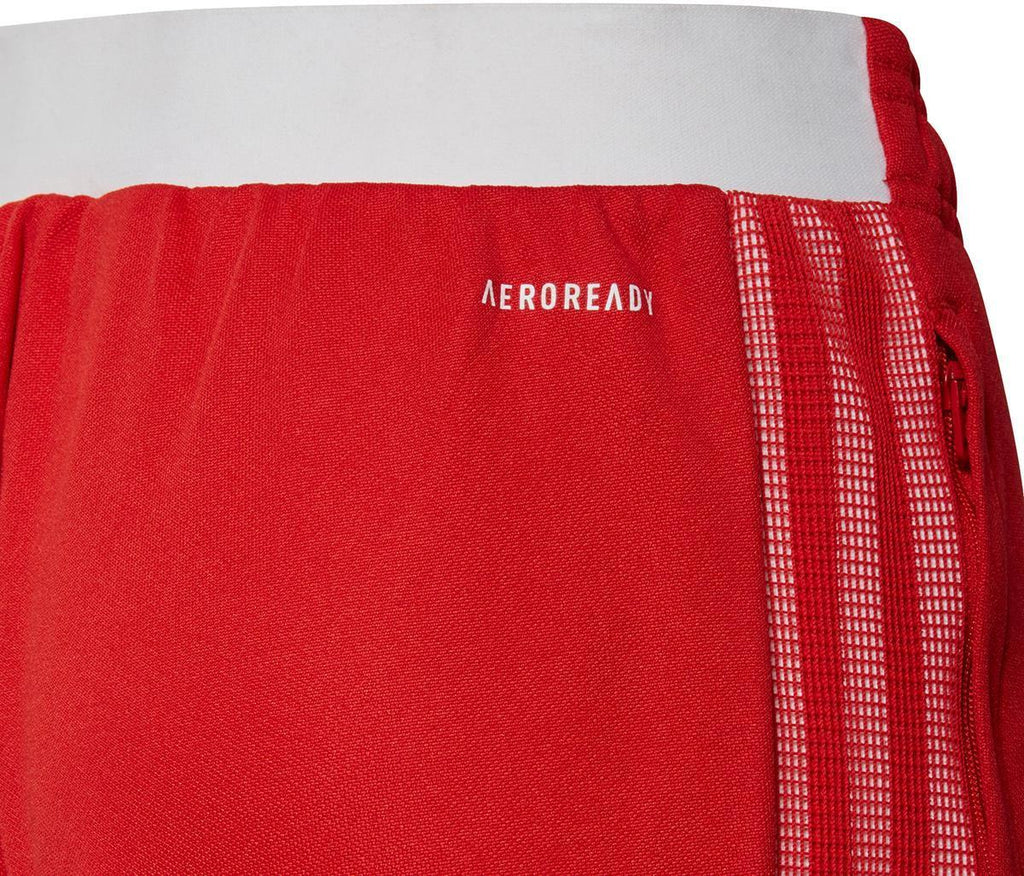 Ajax Tr Pant Y
