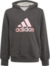 Future Icons Logo kids hoodie