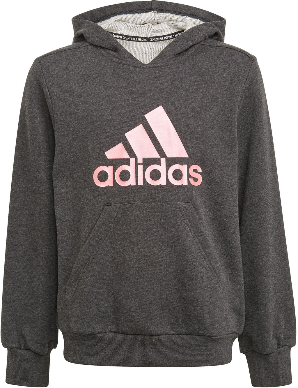 Future Icons Logo kids hoodie