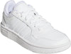 Hoops sneakers