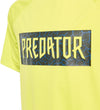 B A.r. Pred Set