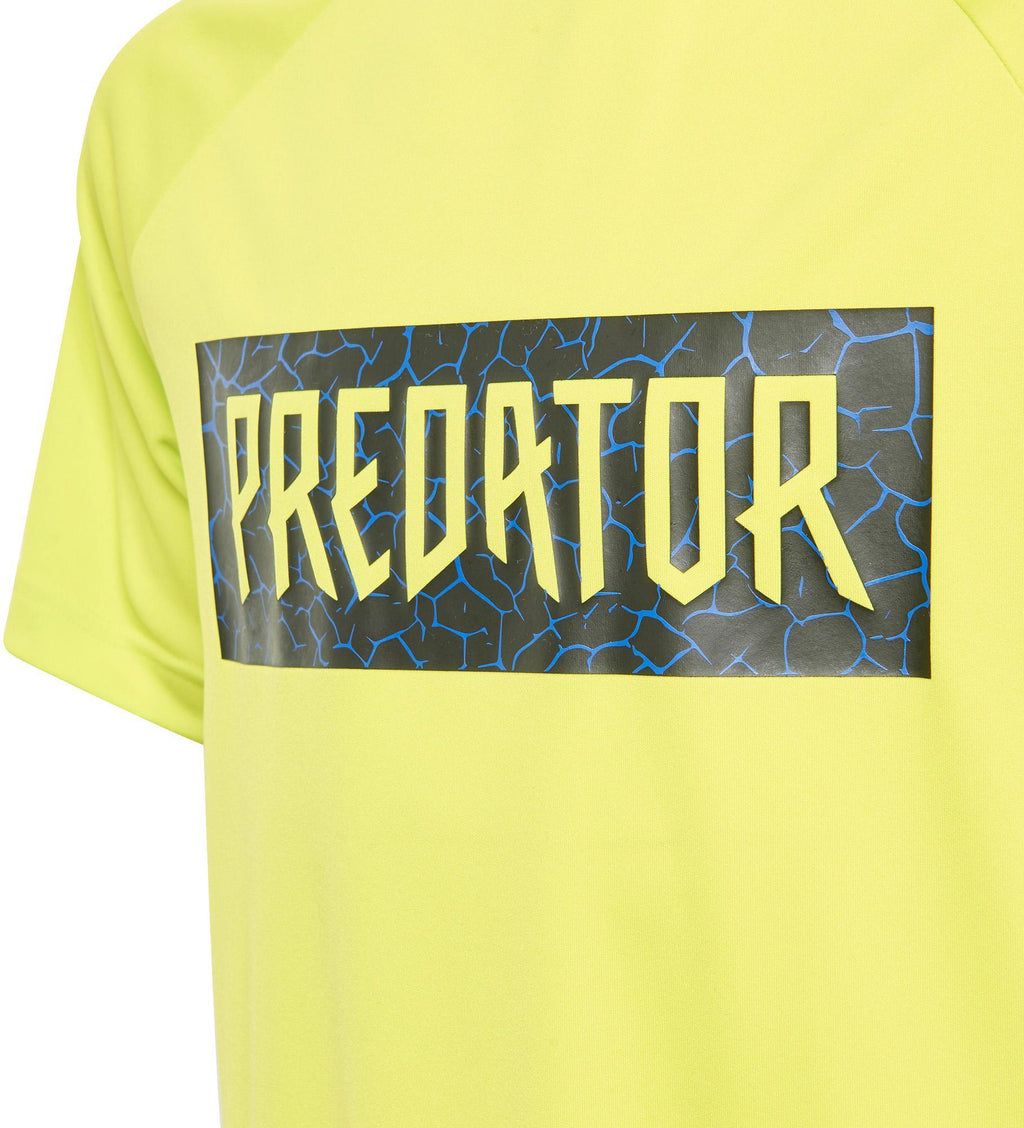 B A.r. Pred Set