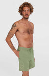 Originals Cali Ocean 16 Swimshorts
