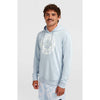 Musthave Graphic Hoodie