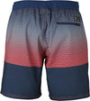 Archero Men Swimshort