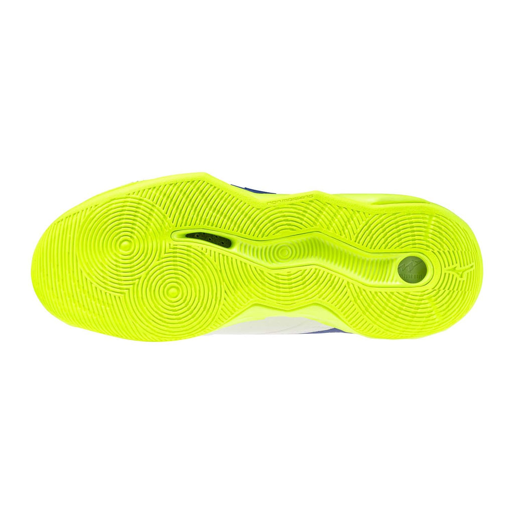 Wave Momentum Pro indoorschoenen