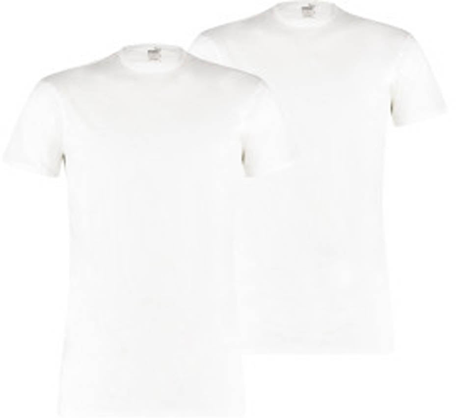 Basic Crew t-shirt (2 paar)