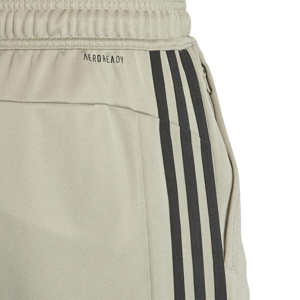 TR-ES BASE 3PT Pant