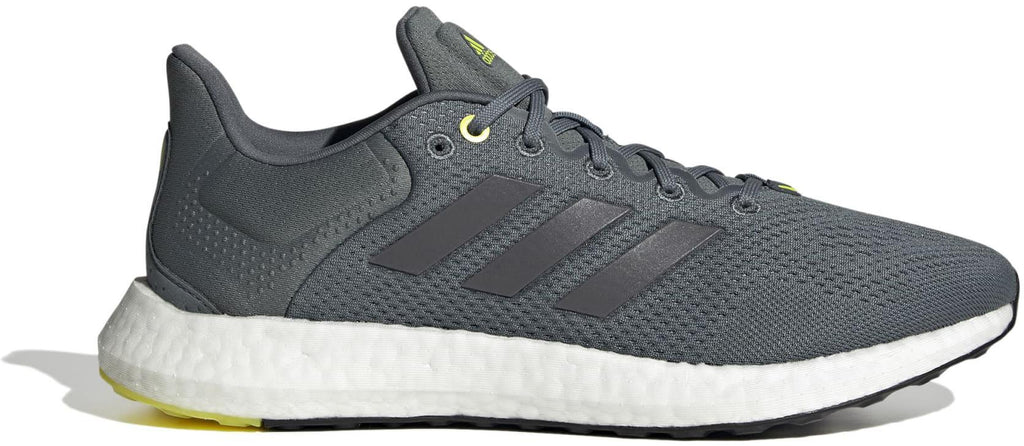 Pureboost 21