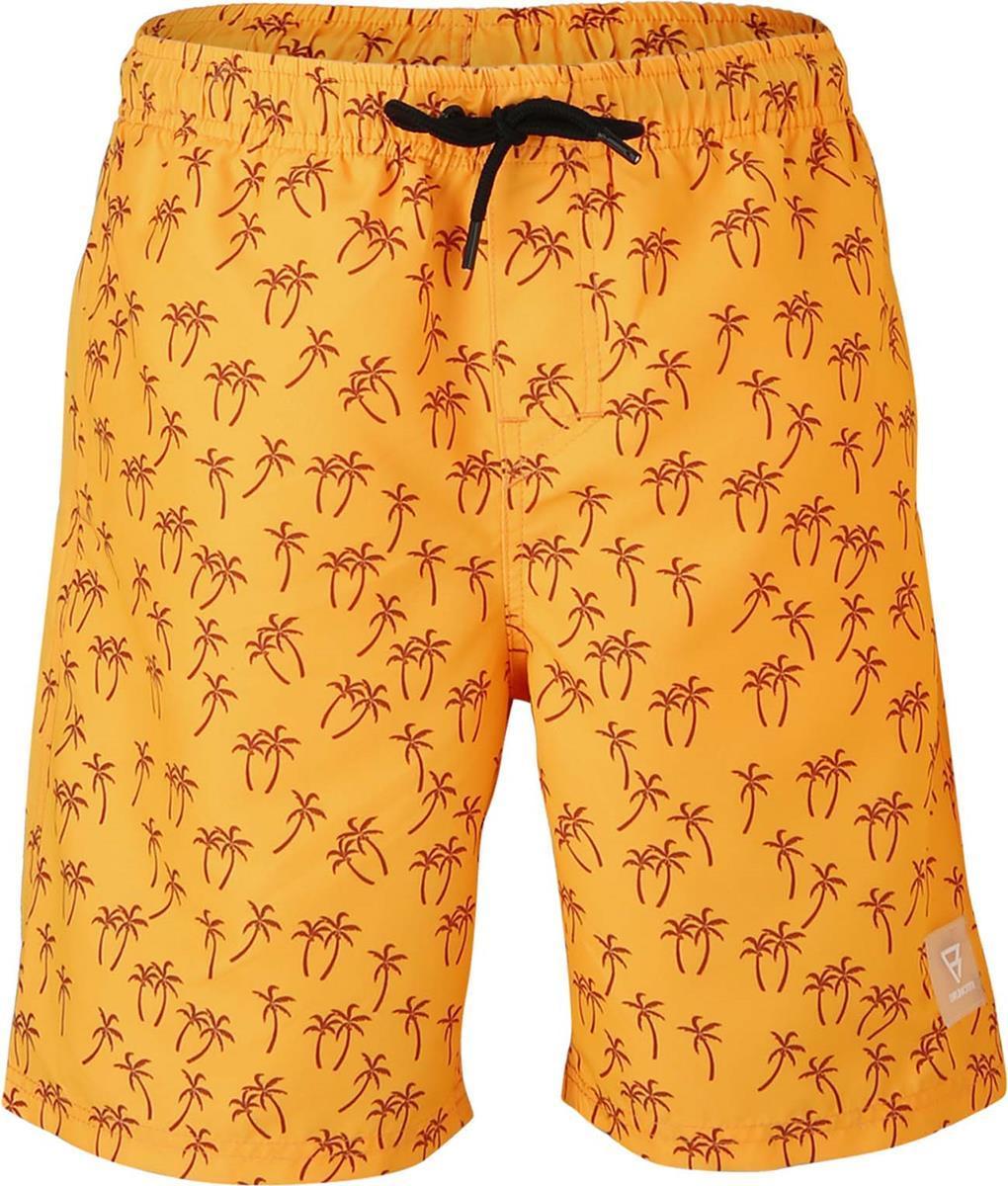 Hestey-ao Boys Swimshort