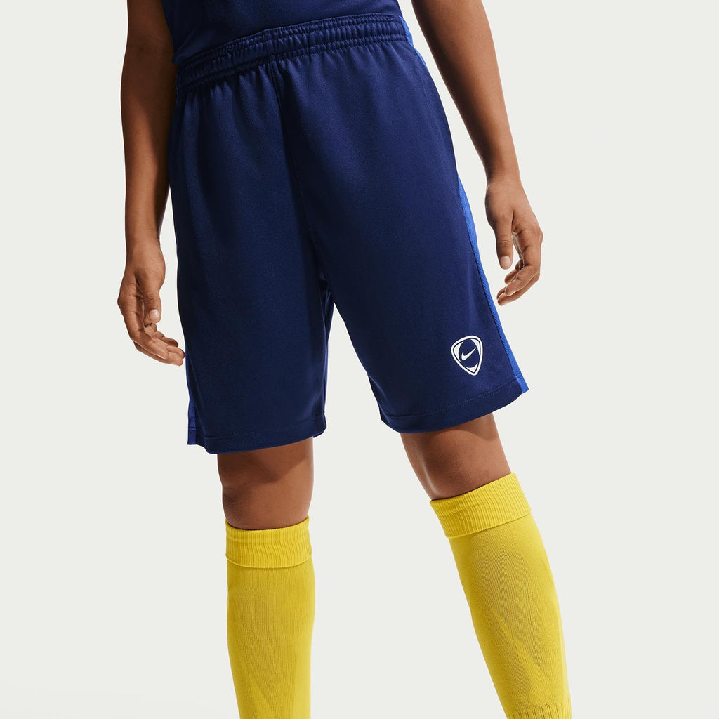 Kids Dri-fit Academy+ Shorts