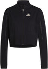 Tennis Primeblue Primeknit Jack