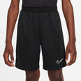 Dri-FIT Academy 23 short