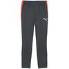 individualLIGA Training Pants