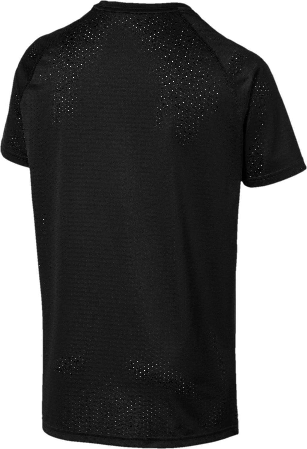 puma ss tech tee