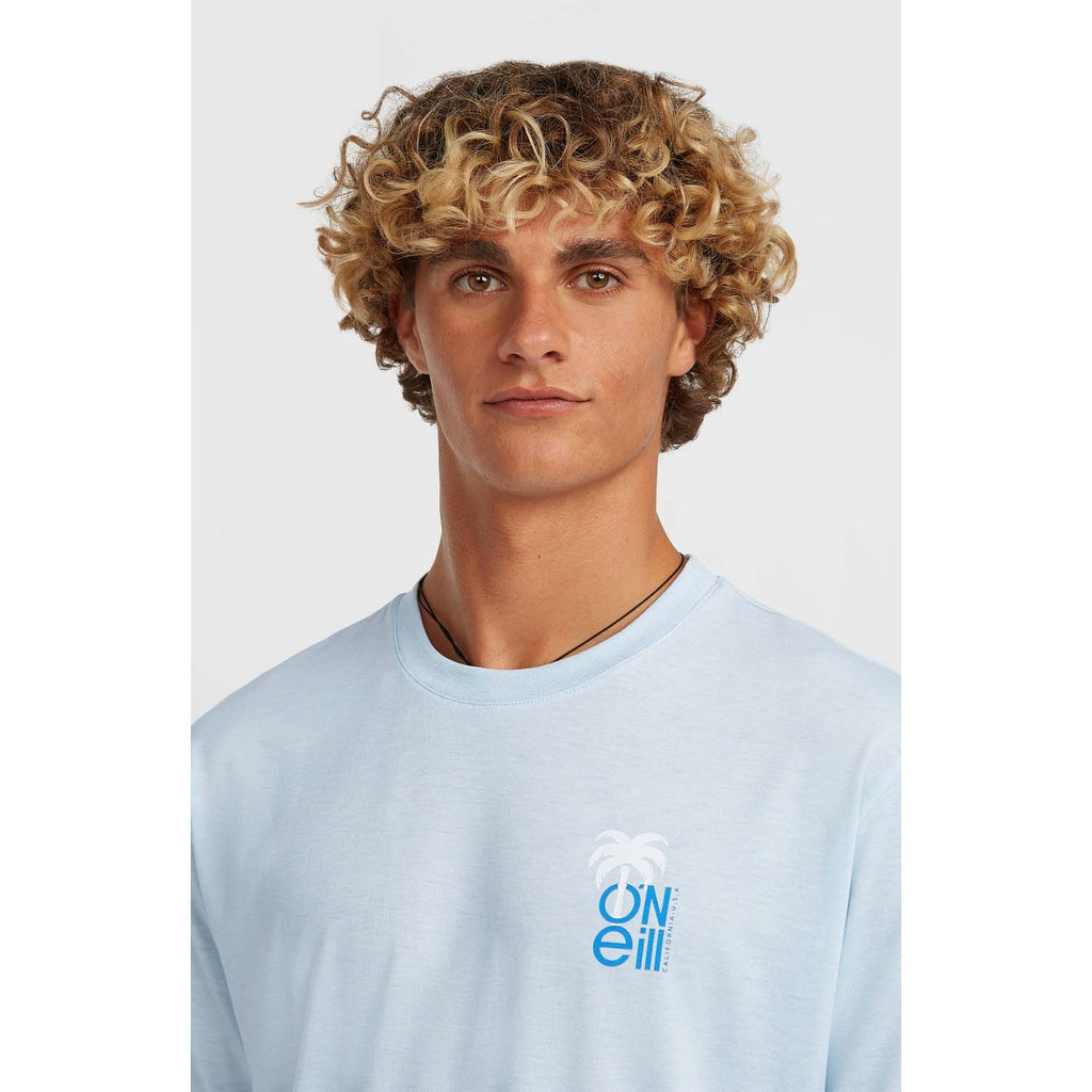 Hybrid Polygiene Graphi Shirt strand