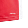 Ajax Amsterdam Thuisshirt