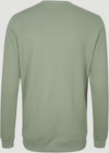 Circle Surfer Crew sweater