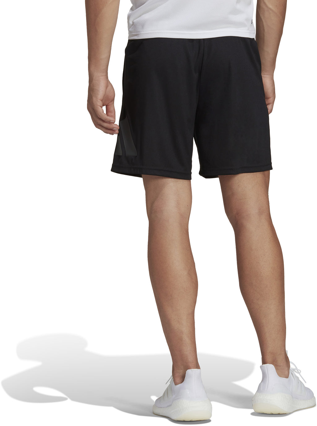 Train Essentials Logo trainingsshort