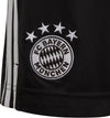 FC Bayern München 20/21 Derde Short