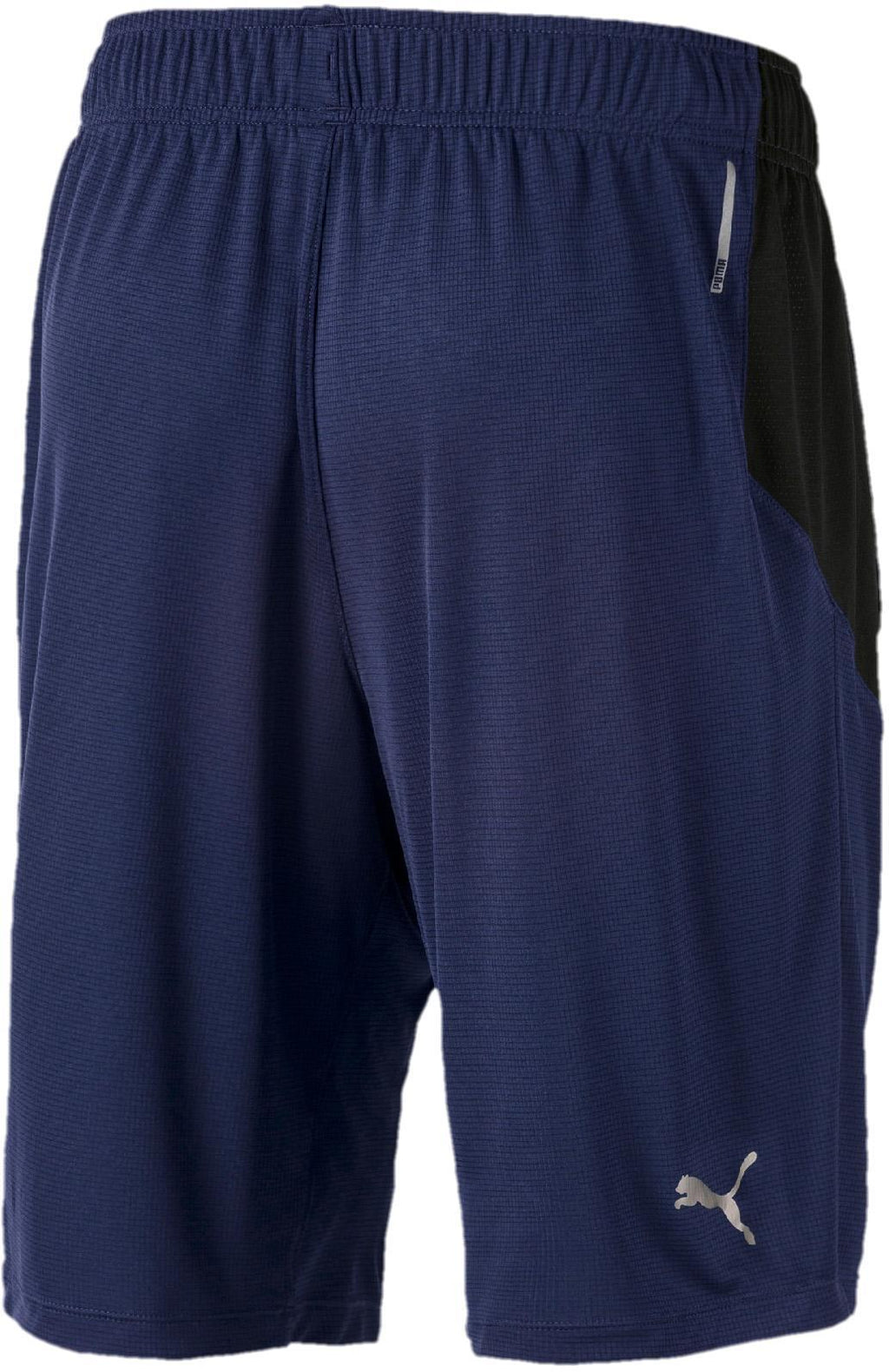 puma cat short