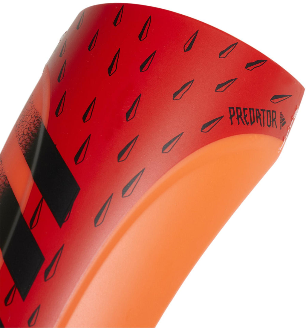 Pred Sg Trn