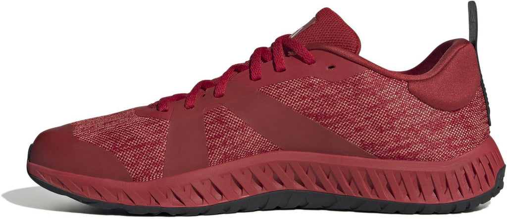 Everyset Trainer