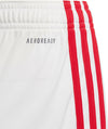 ajax h sho y