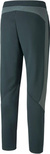 Evostripe Warm Pants