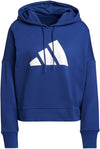 Sportswear Future Icons hoodie