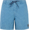 Prtraptor Beachshort