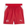 Sfv Replica Westrijdshorts voetbal
