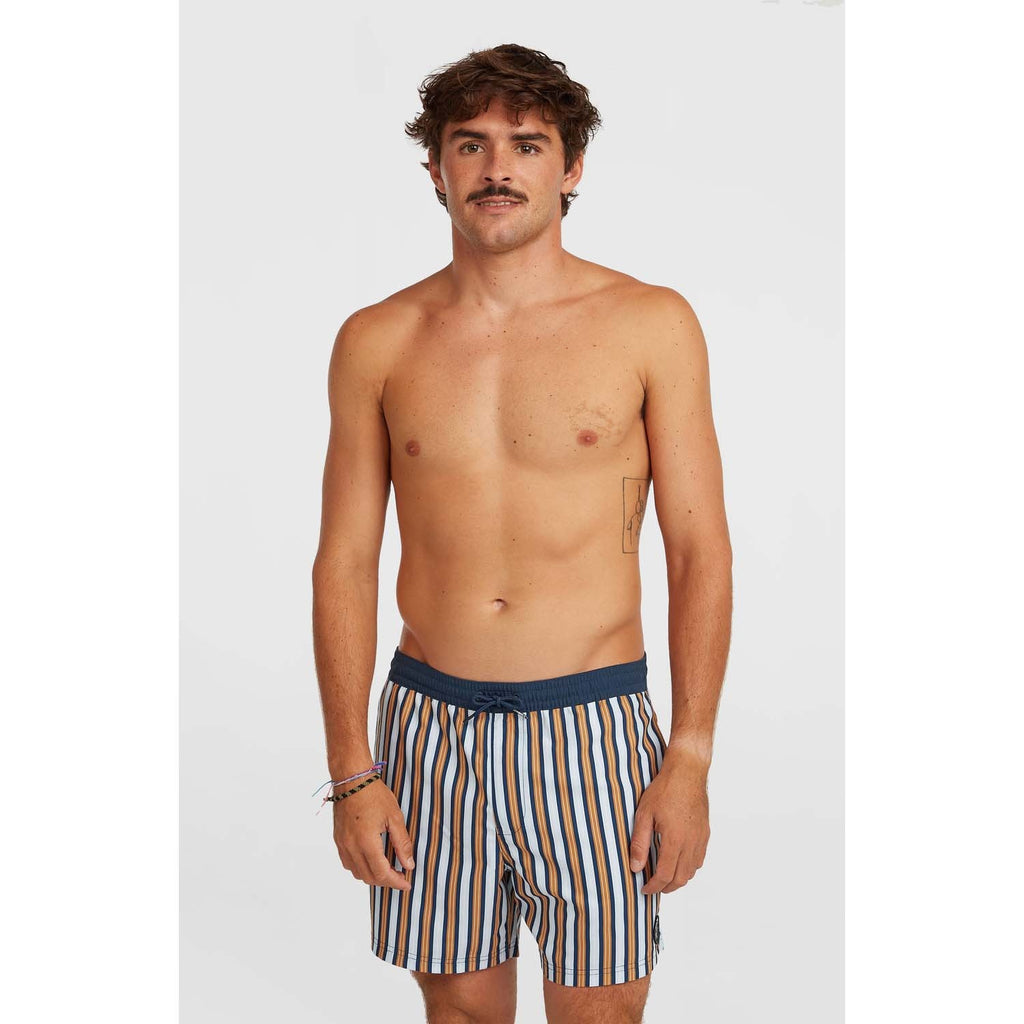 Originals Stripe 15 Zwemshort