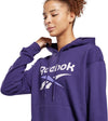Ri Bl French Terry Hoody