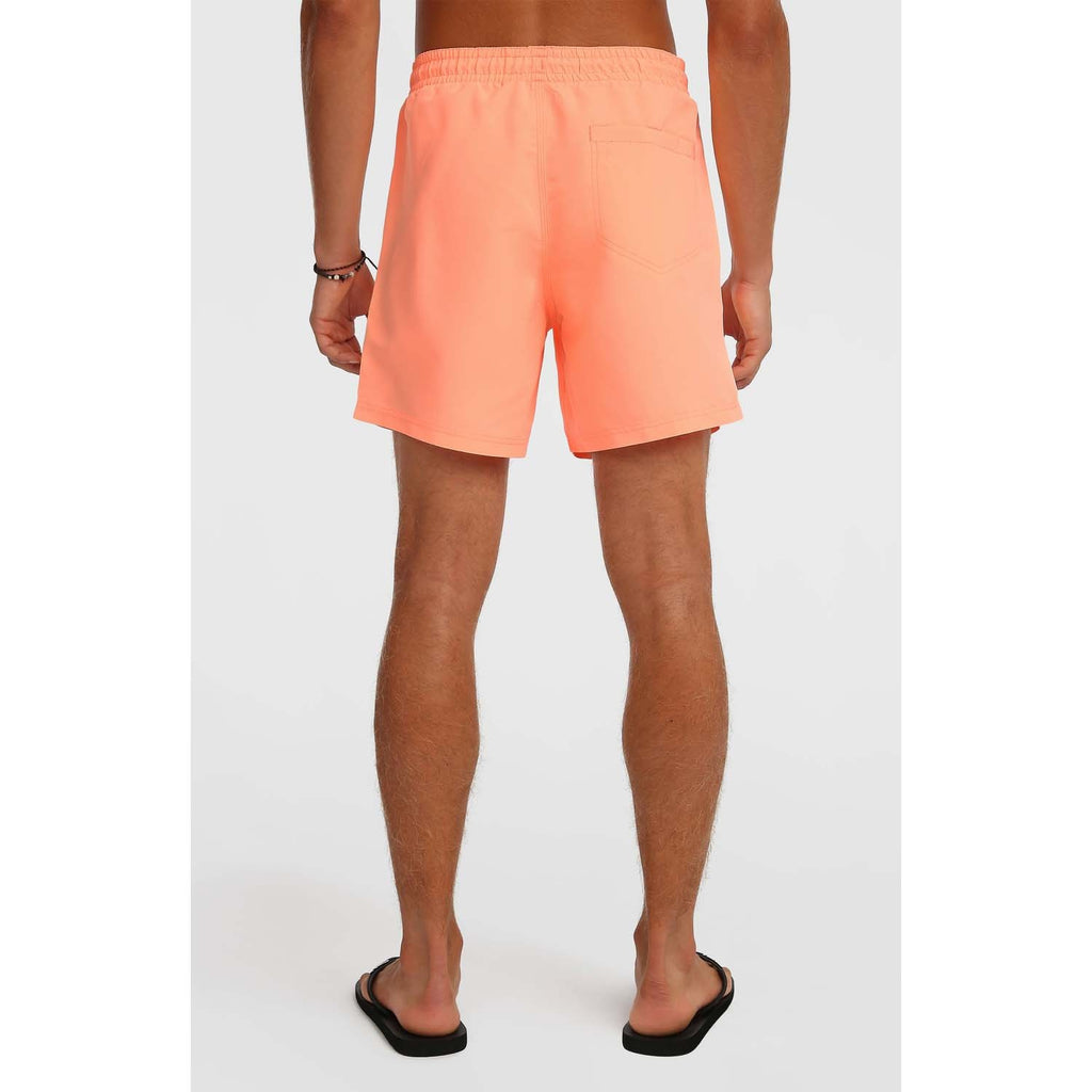 Vert 16 Zwemshort