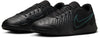 LEGEND 10 ACADEMY IC Hallenschuh