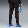 Individualcup Training Pants