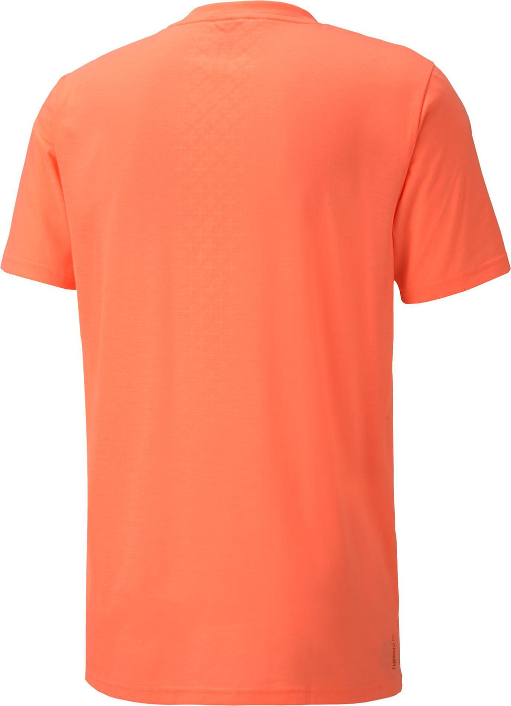 train thermo r+ bnd ss tee