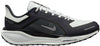 SCARPE NIKE PEGASUS 41 GORE-TEX PUMICE/BURGUNDY
