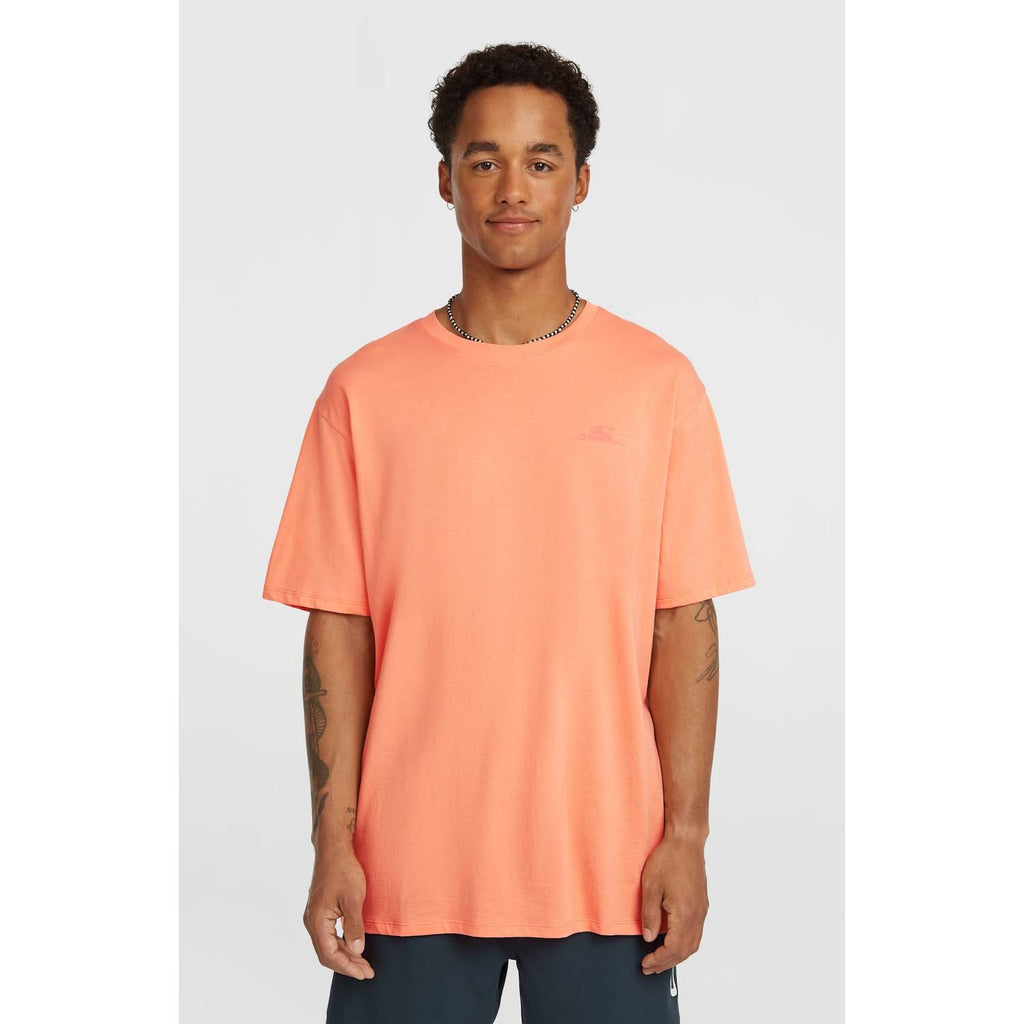 Small Logo T-shirt strand