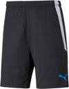 TEAMLIGA TRAINING SHORTS 2 (OP, PUMA BLACK-OCEA, XL